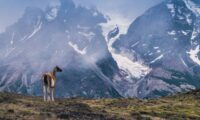 fantasia-plus-destinos-Chile-Torres-del-paine